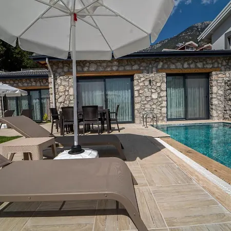 فيلة Magnificent With Private Pool And Backyard In Fethiye Ovacık